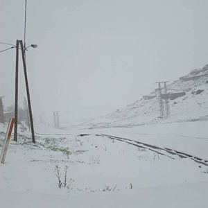 Meet your Posher, Moha